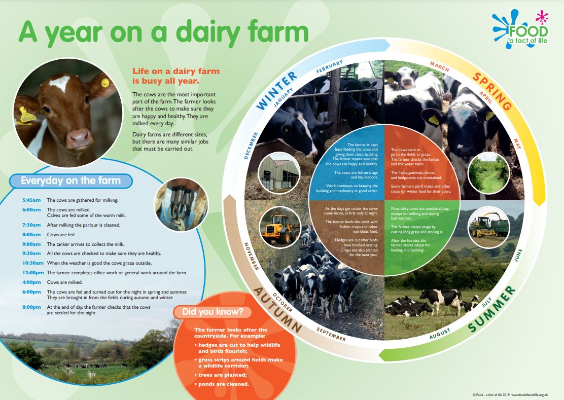 dairy poster